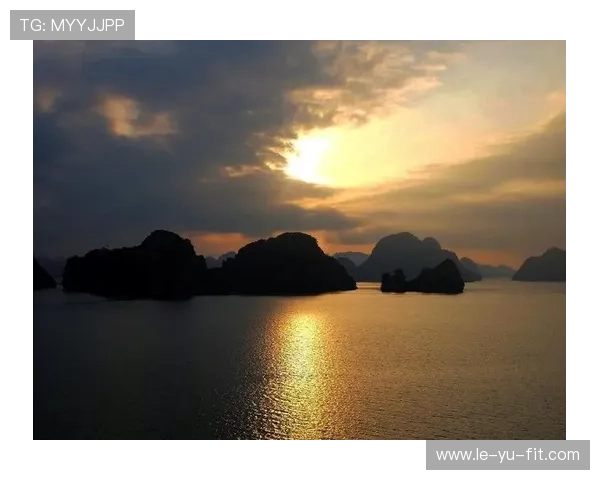 越南队金星旗海迎风飘扬，展现团队精神与荣誉感